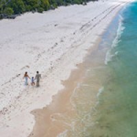 a group of people riding skis on a beach