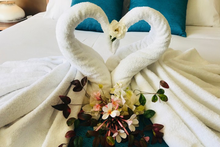 a group of stuffed animals sitting on top of a table